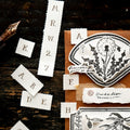 Letters (No Frame) Letterpress Book